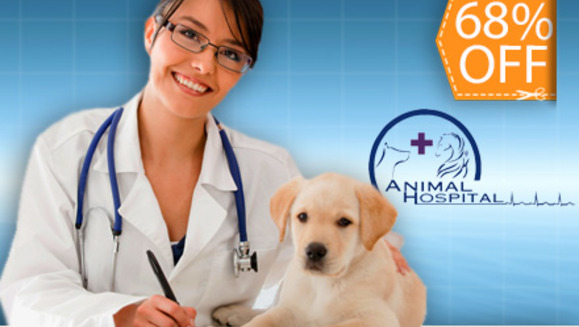 [Image: ¡Paga $18 en lugar de $57 por Consulta Veterinaria General + Electrocardiograma + Limpieza Dental y Grooming Completo en Animal Hospital!m]
