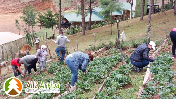 [Image: ¡Paga $90 en Lugar de $180 por 1 Noche en Cabaña para 2 Adultos y 2 Niños o para 3 Adultos + Desayunos + Plato de Bocas y 2 Cervezas + Parrillada para 2 + 30 Minutos de Juegos de Mesa + Caminata en Bosque + Visita al Vivero de Hortalizas y Más!m]