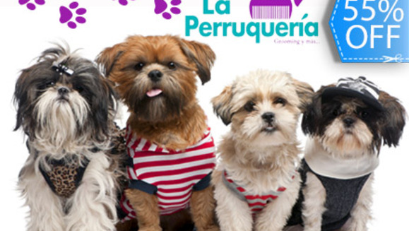 [Image: ¡Paga Q59 en lugar de Q130 por Grooming Completo para Mascotas que incluye: Baño + Corte de Pelo + Cepillado + Secado + Corte de Uñas + Limpieza de Glándulas y Oídos + Moña o Pañuelo + Galleta en La Perruquería!m]