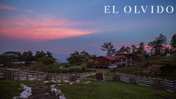 [Image: ¡Paga Q699 en Lugar de Q1,500 por Estadía de 1 Noche para 2 Personas en Cabaña + 2 Desayunos + 2 Almuerzos + 2 Cenas + Uso de Instalaciones y Actividades de Montaña: Tour a La Piedra del Jardín, Ordeño, Pesca de Tilapia, Piscina Natural y Más!m]