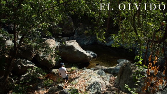 [Image: ¡Paga Q699 en Lugar de Q1,500 por Estadía de 1 Noche para 2 Personas en Cabaña + 2 Desayunos + 2 Almuerzos + 2 Cenas + Uso de Instalaciones y Actividades de Montaña: Tour a La Piedra del Jardín, Ordeño, Pesca de Tilapia, Piscina Natural y Más!m]