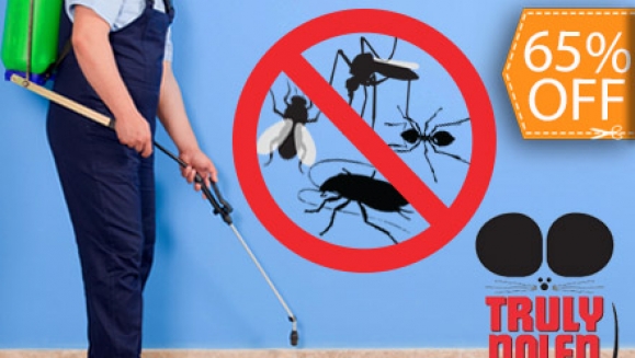 [Image: ¡Extermina el Dengue y la Chikungunya! ¡Paga $23 en lugar de $65 por Control de Plagas e Insectos Voladores y Rastreros + 1 Litro de Desinfectante y Repelente de Insectos Voladores con Truly Nolen!m]