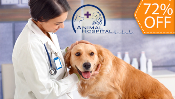 [Image: ¡Paga $17 en lugar de $62 por Chequeo Veterinario + Vacuna Quíntuple + Desparasitación +  Hemograma + Baño y Más en Animal Hospital!m]