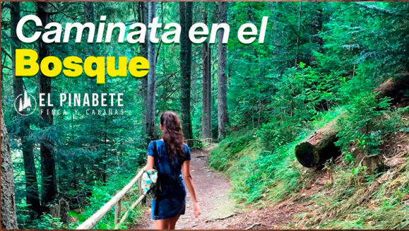 [Image: ¡Paga $55 en Lugar de $122 por Estadía de 1 Noche para 4 Personas + 2 Sopas de Gallina + 1 Quesadilla para Compartir + 4 Cafés + Tour en El Bosque + Fogata Nocturna y Más!m]