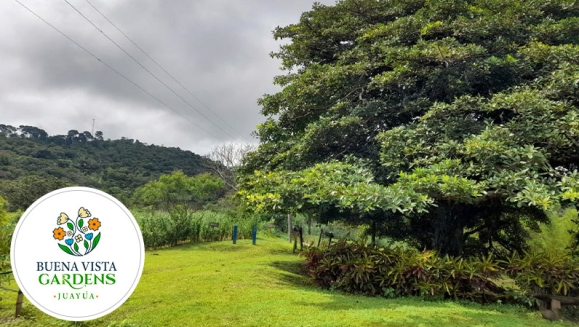 [Image: ¡Paga $30 en Vez de $60 por Camping al Aire Libre para 2 que Incluye: 2 Entradas al Ecoparque + 1 Tienda de Campaña + 2 Colchonetas + 2 Desayunos + 2 Cenas + Fogata + Guía de Senderismo y Tour Básico de Café + Piscina y Más! ¡Solo 73 Disponibles!m]