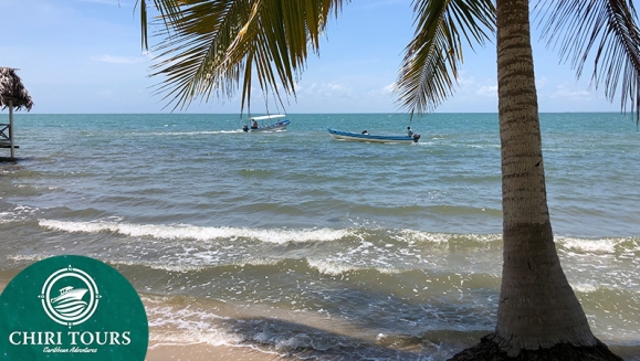 [Image: ¡Paga Q599 en Vez de Q1,300 por Estadía para 2 Adultos y hasta 2 Niños en el Mar Caribe con: 1 Noche en Habitación Doble con A/C, WIFI, TV + Desayunos + Aventuras Acuáticas (Paseo en Lancha a Punta de Palma, Waverunner, Snorkling) + Discoteca!m]