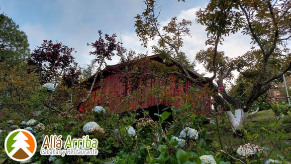 [Image: ¡Paga $60 en Lugar de $112 por 1 Noche en Cabaña para 2 Adultos y 2 Niños o para 3 Adultos + Desayunos Continentales + Orden de 5 Tacos + 30 Minutos de Juegos de Mesa + Caminata en Bosque + Visita al Vivero de Hortalizas + Entretenimiento y Más!m]