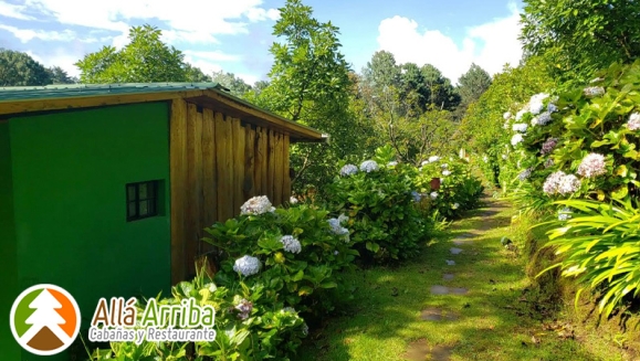 [Image: ¡Paga $60 en Lugar de $112 por 1 Noche en Cabaña para 2 Adultos y 2 Niños o para 3 Adultos + Desayunos Continentales + Orden de 5 Tacos + 30 Minutos de Juegos de Mesa + Caminata en Bosque + Visita al Vivero de Hortalizas + Entretenimiento y Más!m]