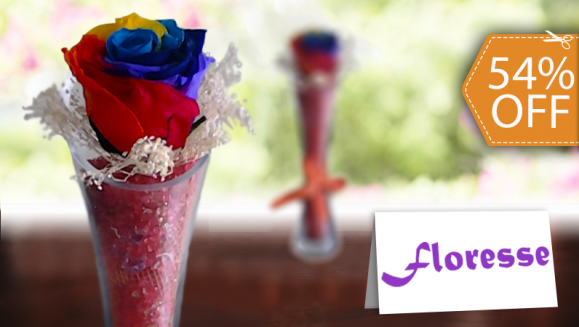 [Image: ¡Paga $16 en vez de $35 por Arreglo de Rosa Preservada en Elegante Florero de Cristal en Floresse Flores y Jardines! ¡SÓLO 153 CUPONES DISPONIBLES!m]