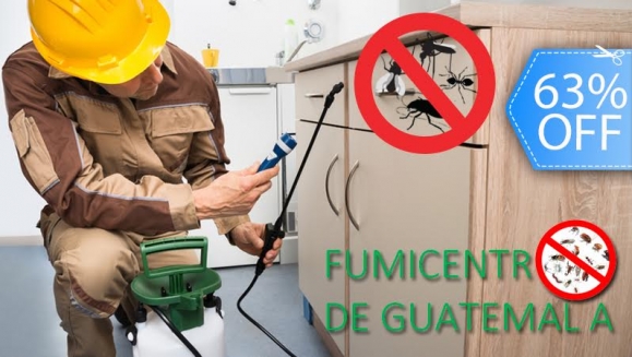 [Image: ¡Paga Q299 en vez de Q799 por Servicio de Fumigación de Plagas hasta en 15 Ambientes + Tratamiento para Jardín + Tratamiento para Alcantarillas y Drenajes + Aspersión y Tratamiento de Ácaros en 2 Colchones con FumiCentro!m]