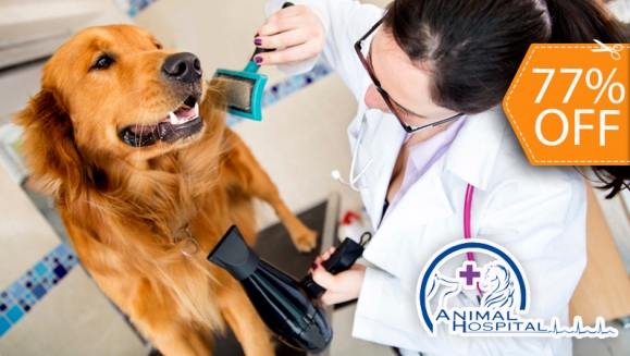 [Image: ¡Paga $15 en lugar de $64 por 3 paquetes de Grooming Para tu Mascota que Incluyen: 3 Baños + 3 Secados + 3 Cortes de Uñas + 3 Limpiezas de Oídos + 3 Peinados + 1 Desparasitante y Más en Animal Hospital!m]