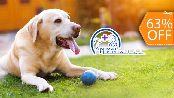 [Image: ¡Vete Tranquilo de Vacaciones! ¡Paga $12 en lugar de $32 por 2 Días de Hospedaje para tu Mascota + 1 Desparasitante en Animal Hospital!m]