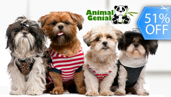 [Image: ¡Paga Q79 en lugar de Q160 Por Grooming Completo que incluye: Shampoo Antialérgico + Acondicionador + Corte, Secado y Cepillado + Limpieza de Glándulas y Oídos + Corte de Uñas y Perfumado + Moña o Corbatín + 1 Galletita en Animal Genial!m]