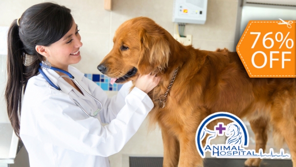 [Image: ¡Paga $16 en vez de $65.75 por Chequeo Veterinario + Vacuna Antirrábica o Desparasitación + Hemograma + 2 Baños y más en Animal Hospital!m]