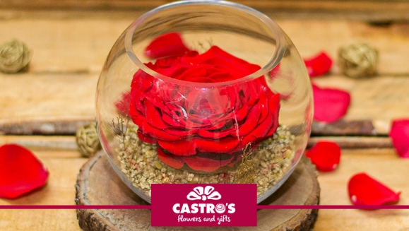 [Image: ¡Paga $20 en Lugar de $40 por Delicada Rosa Grande Preservada de Color a Elección y en Base de Cristal!m]