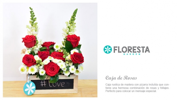 [Image: ¡Paga Q175 en lugar de Q295 por Hermoso Arreglo Floral a Elección entre: Red Bubble (Rosas Rojas y Claveles Blancos) Silvestre Petit (Rosas y Girasoles) o Caja de Rosas (Rosas y Lirios)!m]
