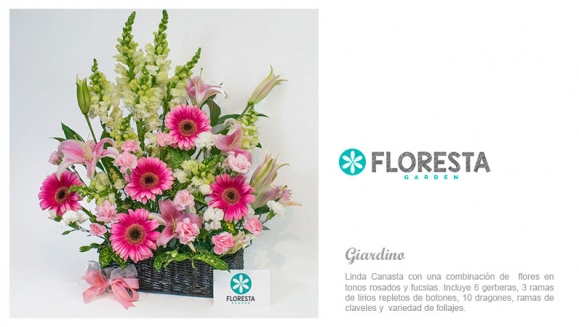[Image: ¡Paga Q299 en lugar de Q495 por Arreglo Floral Premium a Elección entre: Lila Dream (Rosas Blancas y Lilas), Crisa (Rosas y Claveles) o Giardino (Gerberas Rosadas, Lirios y Dragones) con Entrega a Domicilio y Más!m]