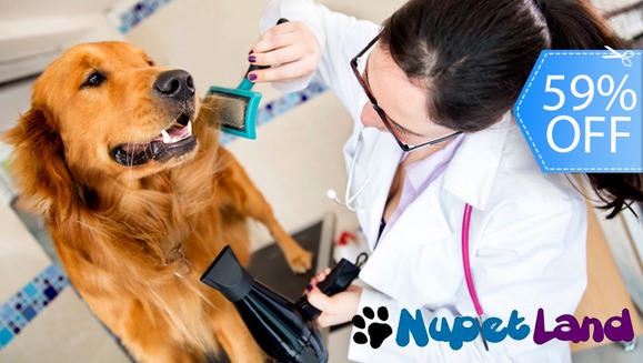 [Image: ¡Sin Restricción de Tamaño! ¡Paga Q145 en vez de Q355 por Grooming para Mascota: Baño Anti-Garrapatas + Corte de Pelo y Uñas, Cepillado, Limpieza de Glándulas, Oídos y Dientes + Masaje + Pipeta Anti-Pulgas + Desparasitante o Multivitamínico y Más!m]