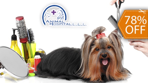 [Image: ¡Paga $12 en lugar de $55 por 3 Paquetes de Grooming para tu Mascota que Incluyen: 3 Baños + 3 Secados + 3 Cortes de Uñas + 3 Limpiezas de Oídos + 3 Peinados y Más!m]