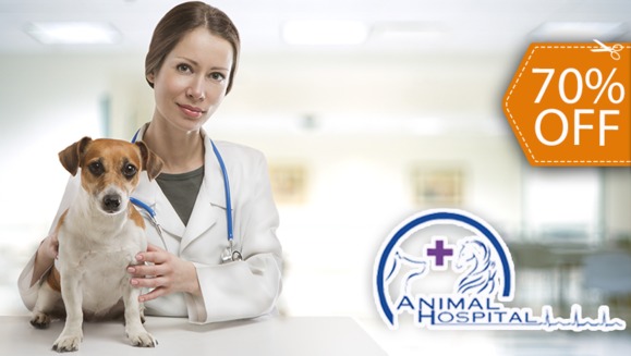 [Image: ¡Paga $115 en lugar de $383.75 por Cirugía de Esterilización + Evaluación Pre-cirugía + Electrocardiograma + Exámenes de Laboratorio Pre-quirúrgicos + 3 Días de Internación + Consulta Pos-quirúrgica!m]
