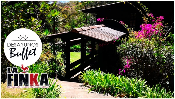 [Image: ¡Paga Q99 en lugar de Q200 por 2 Desayunos Buffet + Café Ilimitado + 2 Postres!m]