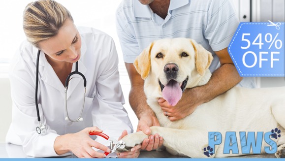 [Image: ¡Sin Restricción de Tamaño! ¡Paga Q165 en vez de Q355 por Grooming de Lujo: Pipeta Anti-Pulgas + Baño Anti-Garrapatas + Corte de Pelo y Uñas + Cepillado de Dientes + Limpieza de Glándulas y Oídos + Masaje + Desparasitante y Plato para Comida!m]
