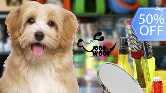 [Image: ¡Paga Q65 en lugar de Q130 por Paquete de Grooming para Mascota que Incluye: Baño + Secado + Cepillado + Corte de Pelo + Corte y Limado de Uñas + Limpieza de Oídos + Limpieza de Glándulas + Moño + Perfume!m]