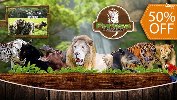 [Image: ¡Paga $20 en lugar de $40 por 4 Entradas al Parque!m]