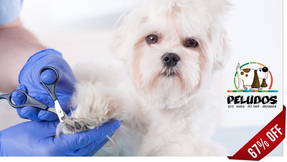 [Image: ¡Paga $12 en vez de $36 por 2 Paquetes de Grooming para Tu Mascota con: 2 Baños + 2 Peinados + 2 Cortes de Uñas + 2 Limpiezas de Oídos + 2 Limpiezas de Glándulas Anales + Perfumado + 2 Pañuelos o Moños + 1 Desparasitación Inyectada + 1 Collar!m]